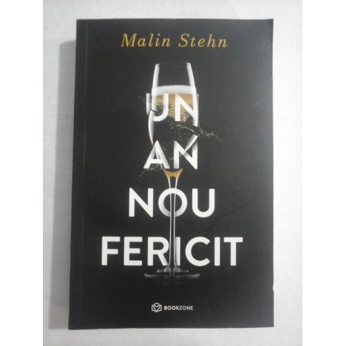     UN  AN  NOU  FERICIT (roman)  -  Malin  STEHN  